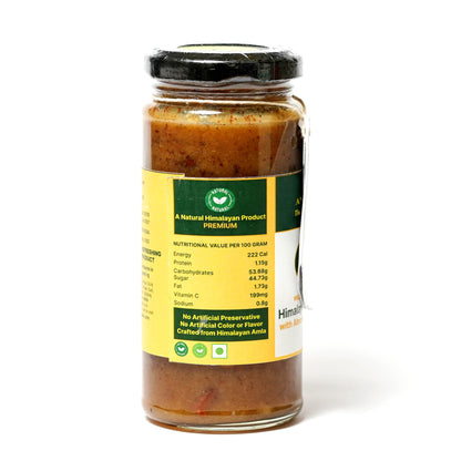 Himalayan Amla Chutney with Dry Fruits | 300 Grams